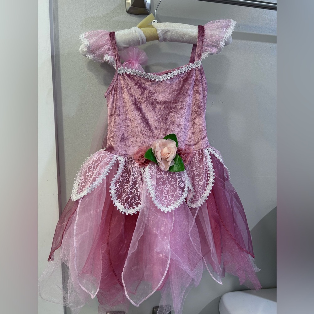 Fairy Costume